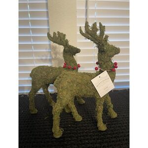 Reindeer Set‎ With Sea Moss 12" Tall Christmas Set Of 2 Wondershop 2024